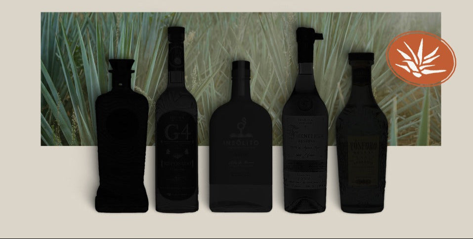 Sip Tequila Fest 2025: And the Winners Are...