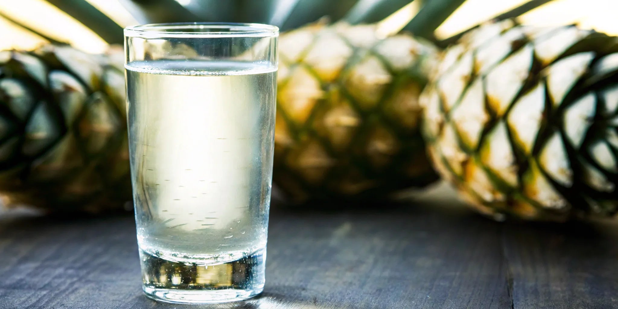 A glass of the best sipping blanco tequila next to a fresh agave plant.