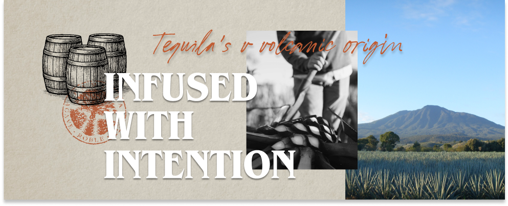 From Ashes to Agave: The Agricultural Transformation Fueled by Volcan de Tequila