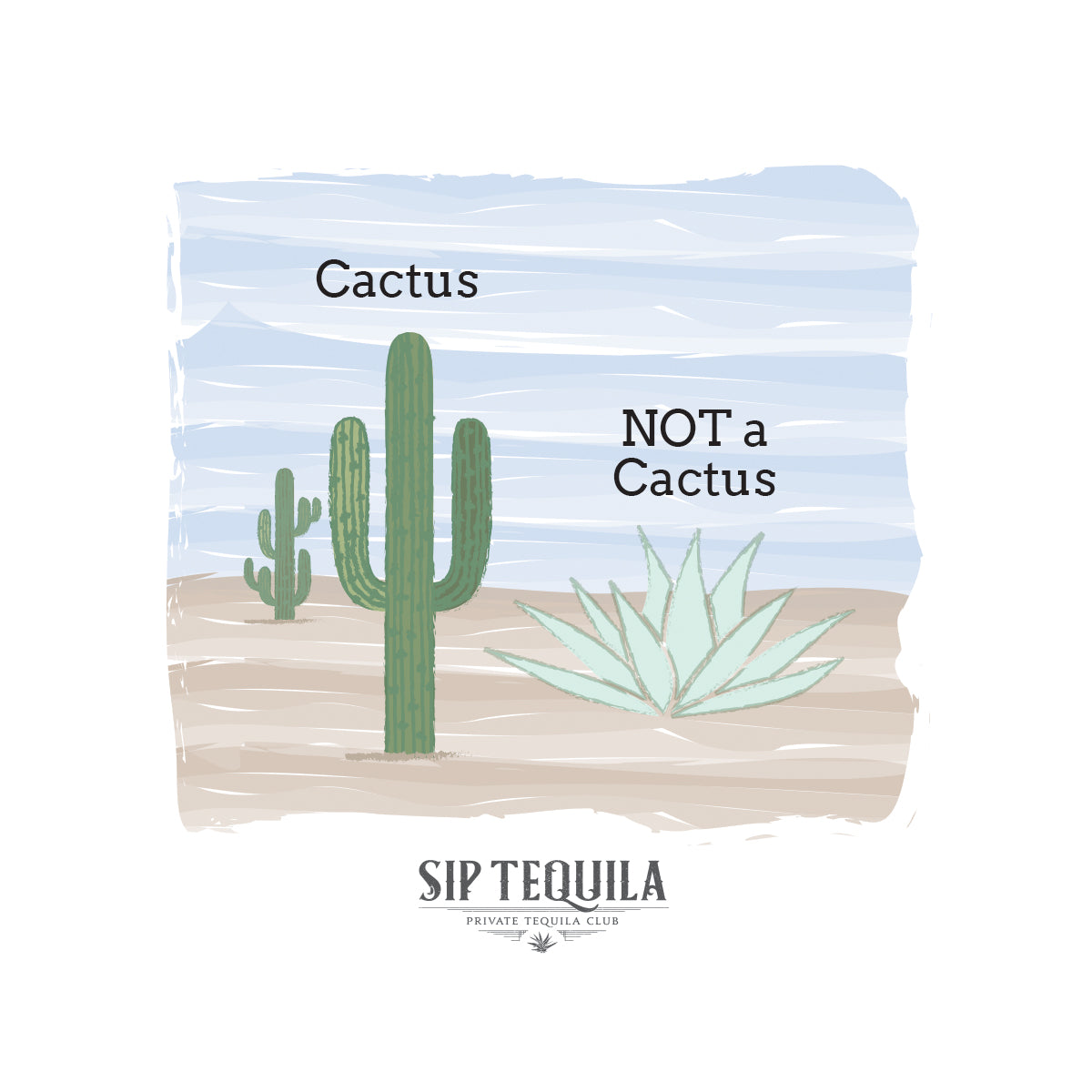Agave is Not a Cactus