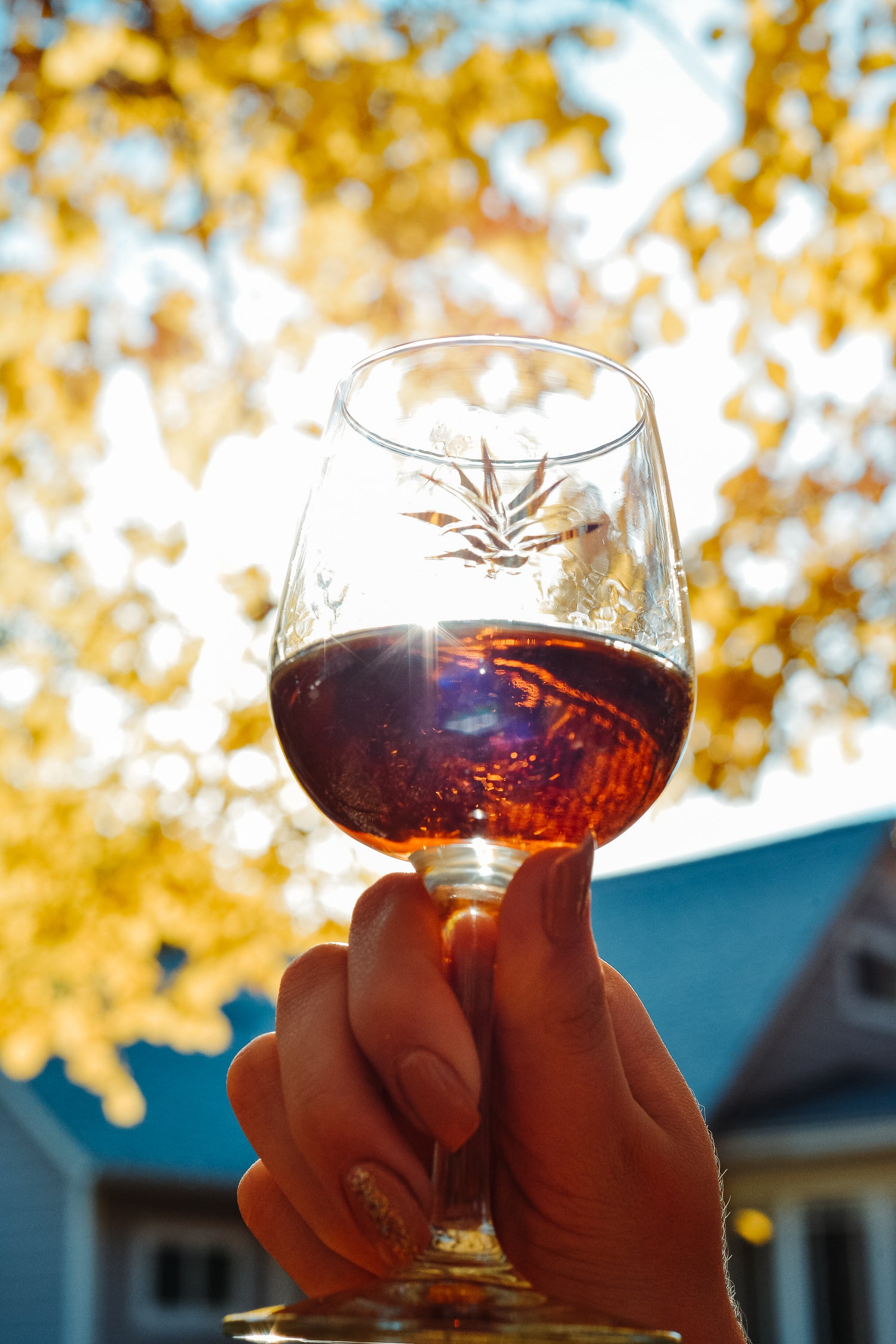 The Added Health Benefits of Drinking Tequila