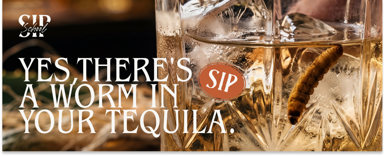 Is There Really a Worm in Tequila?