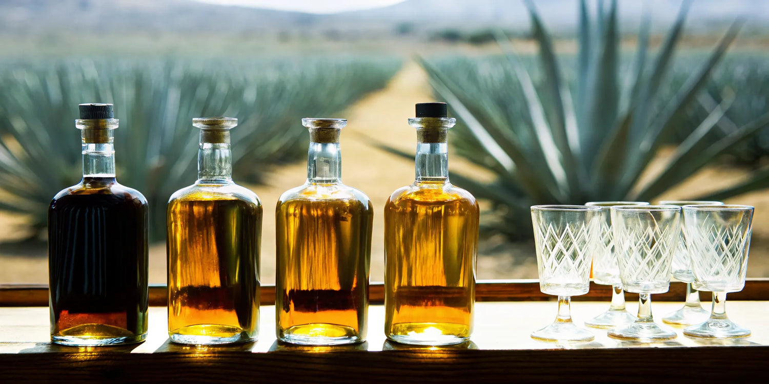 Selection of premium tequila bottles arranged on a wooden bar with amber lighting and tasting glasses