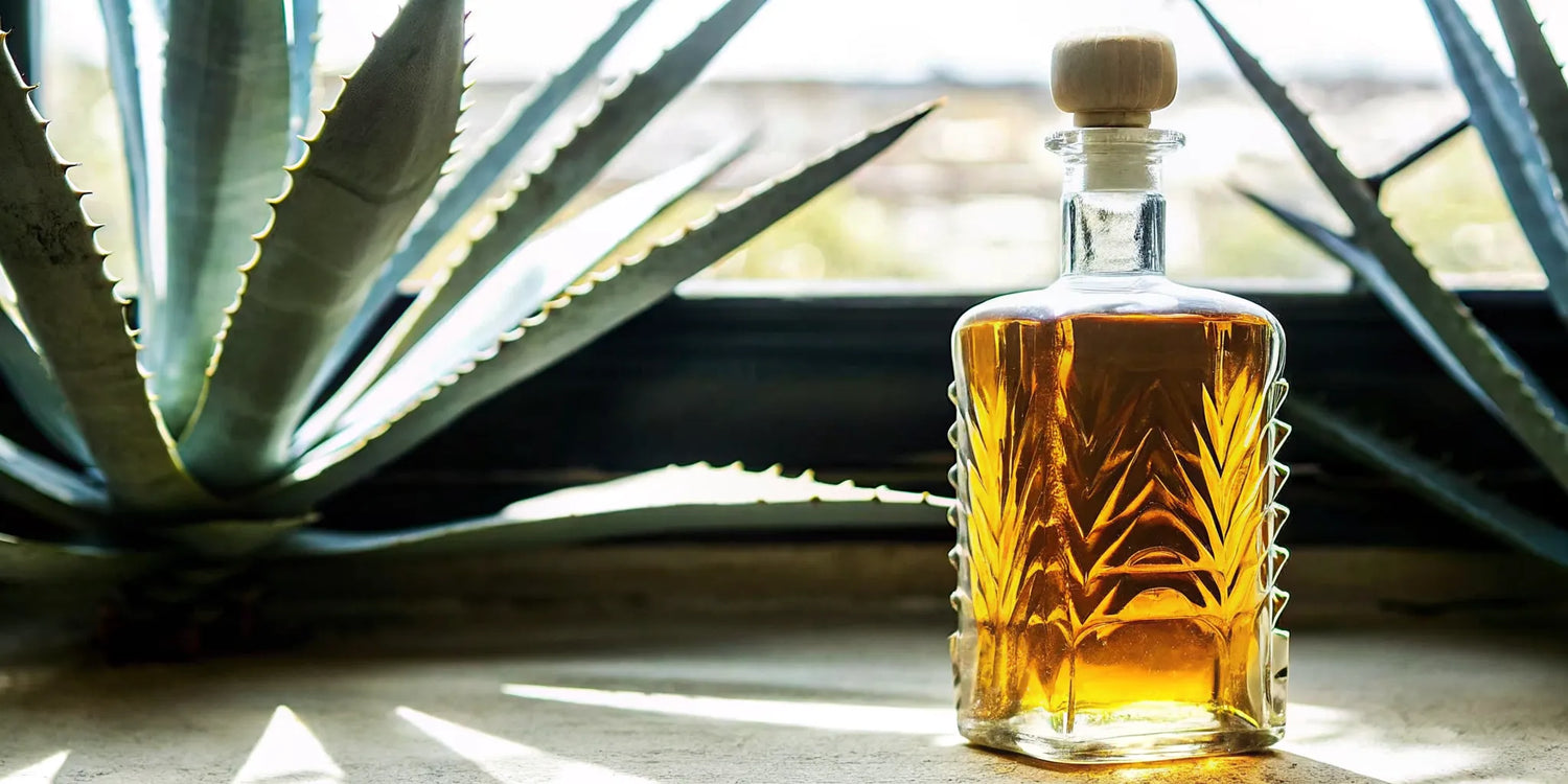 Tequila bottle stored upright in a cool dark cabinet
