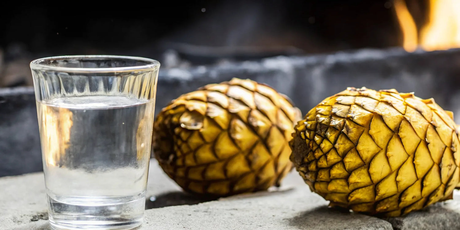 Espadin agave and mezcal tasting glass near an earthen roasting pit