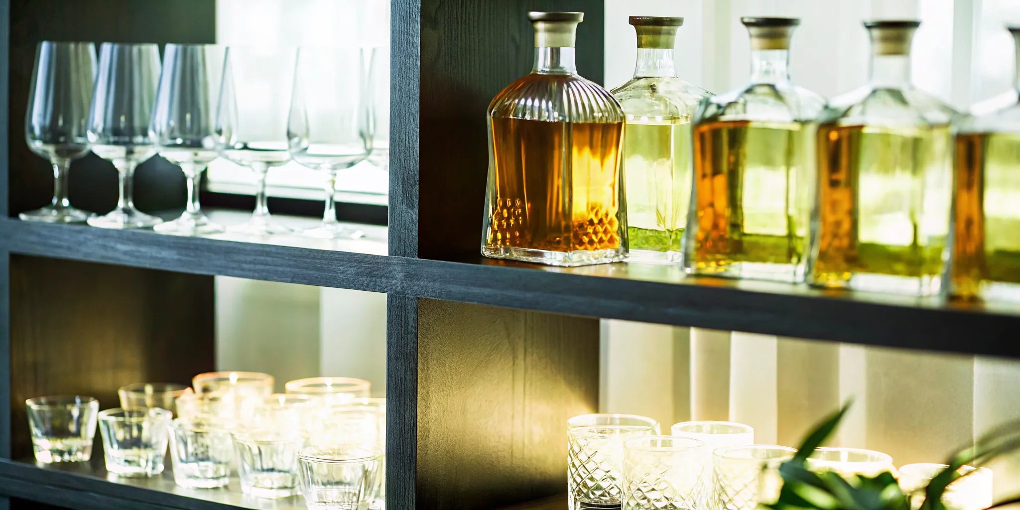 Premium tequila collection displayed on home shelves