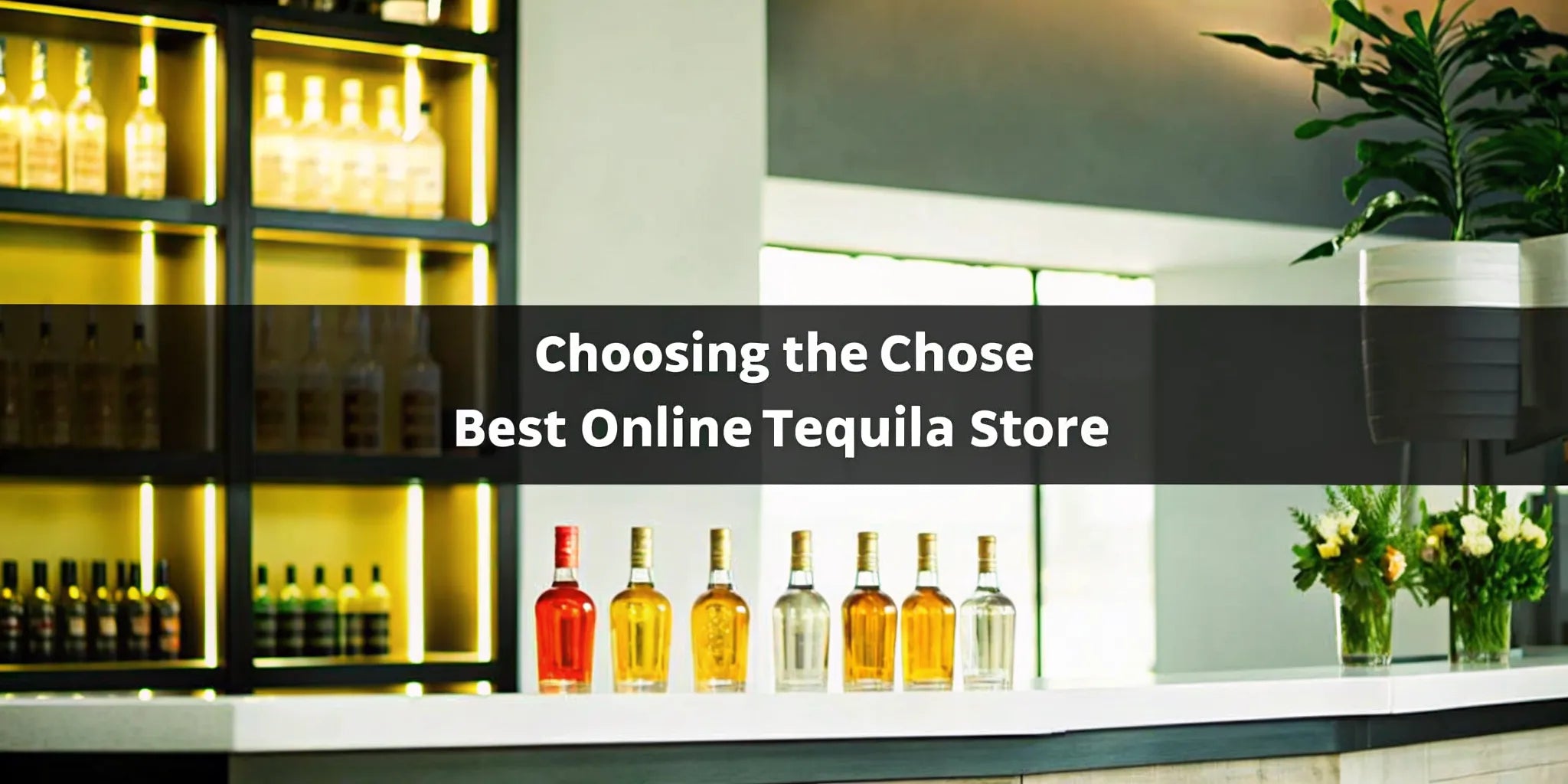A selection of tequila bottles on a bar, an example of what to look for in the best online tequila store.