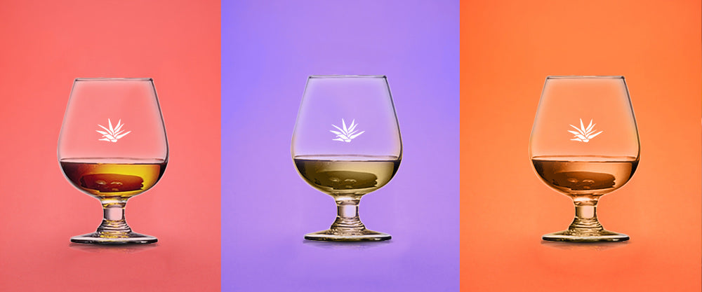 How to Sip Tequila