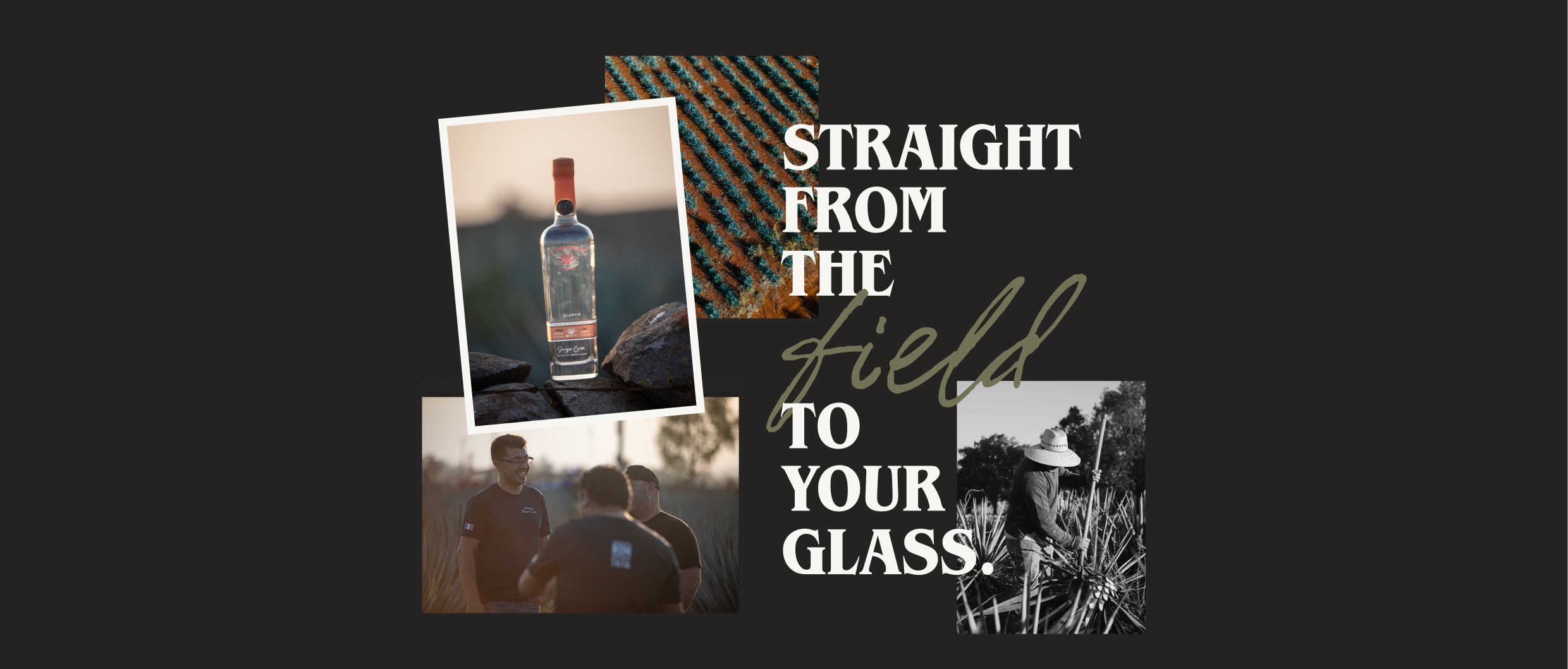 Discover the Heart of Compoveda Tequila: A Journey from Fields to Bottle