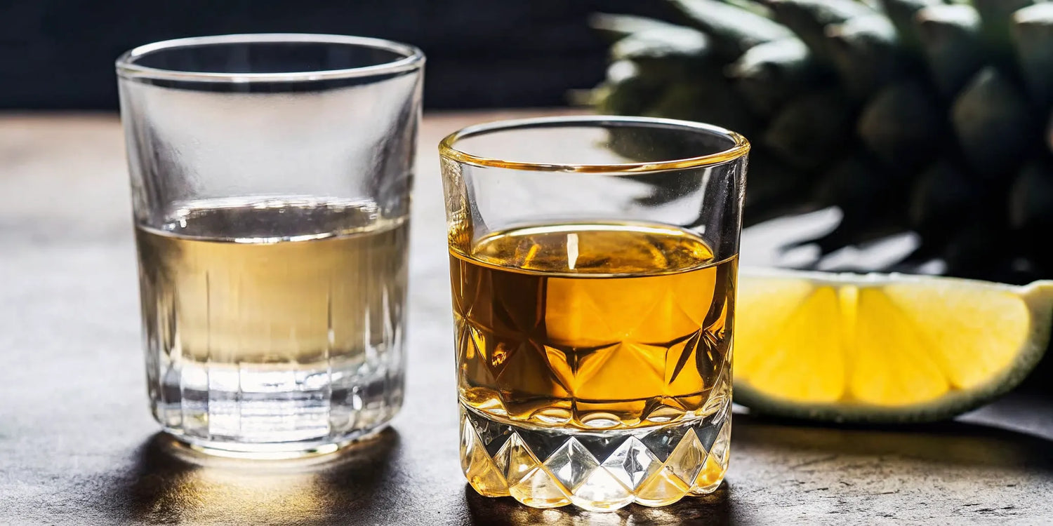 Mezcal vs tequila tasting glasses with agave