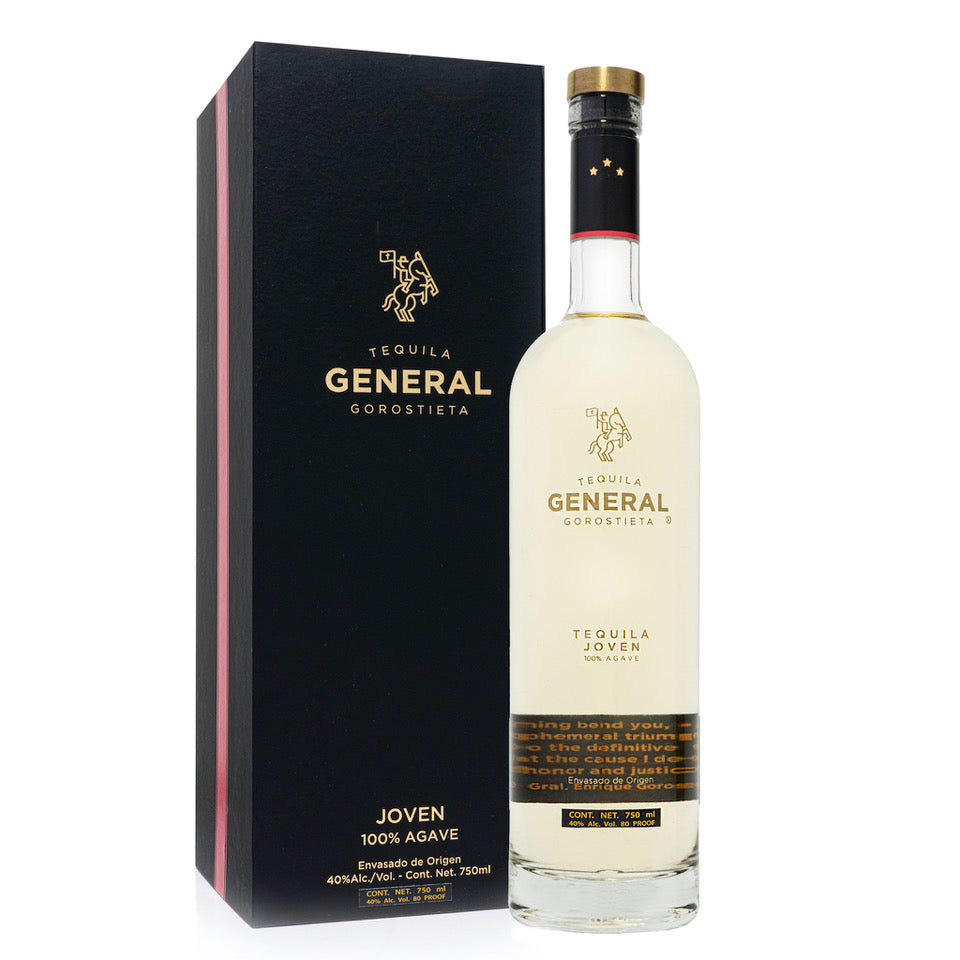 General Gorostieta Joven