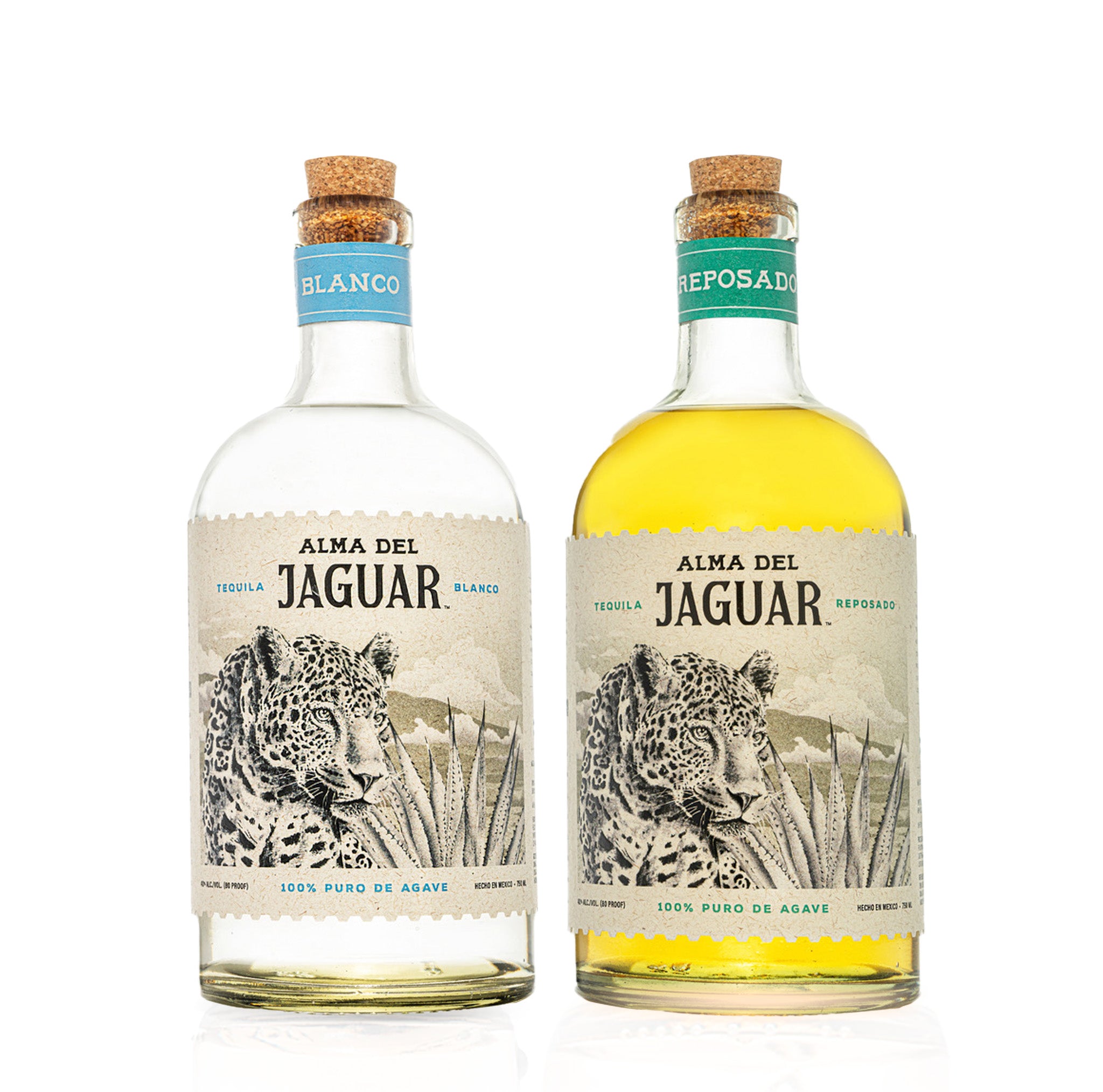 Alma del Jaguar Family Collection