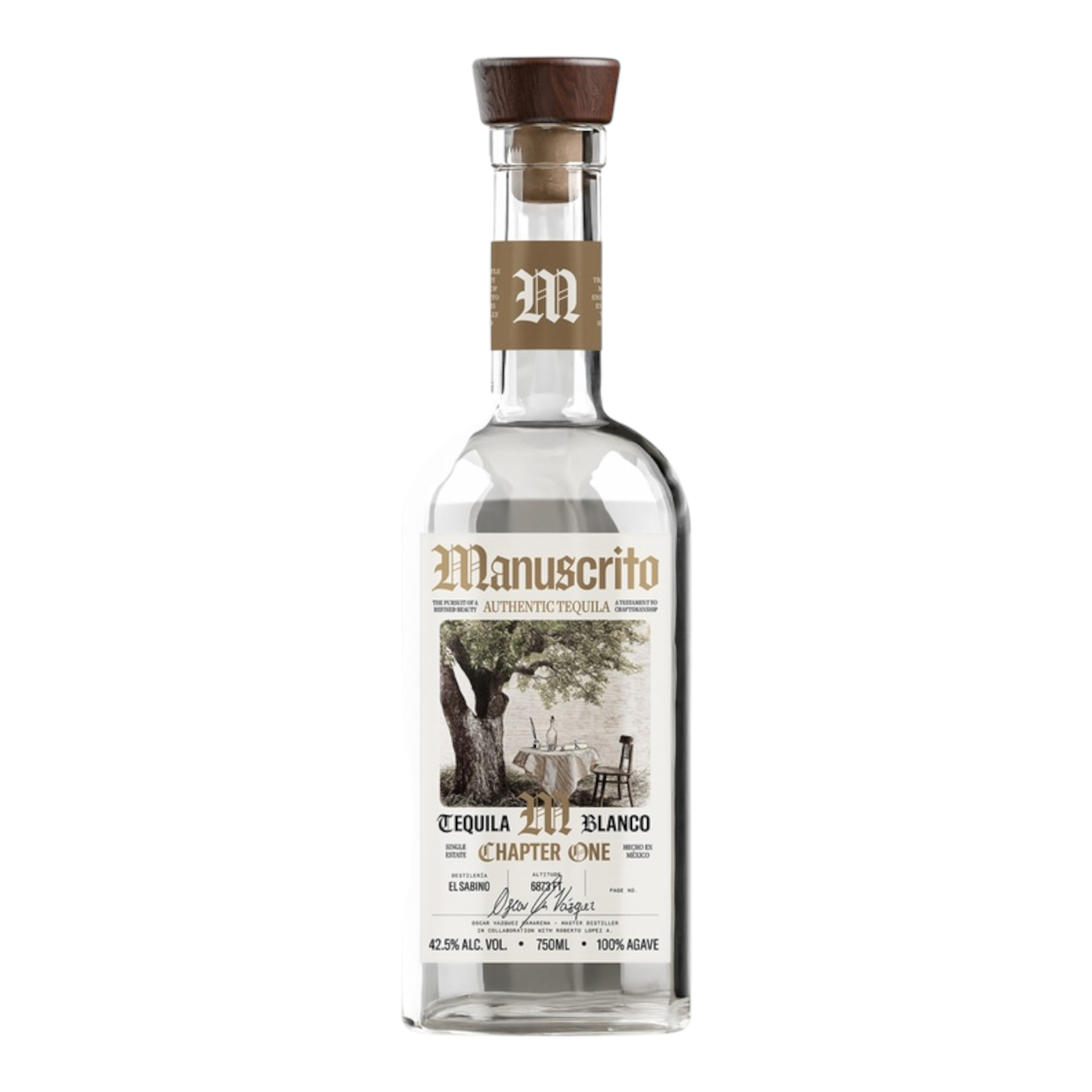 Manuscrito Blanco Chapter 1