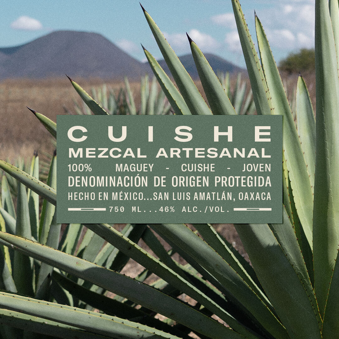 Wild Common Artesenal Cuishe Mezcal