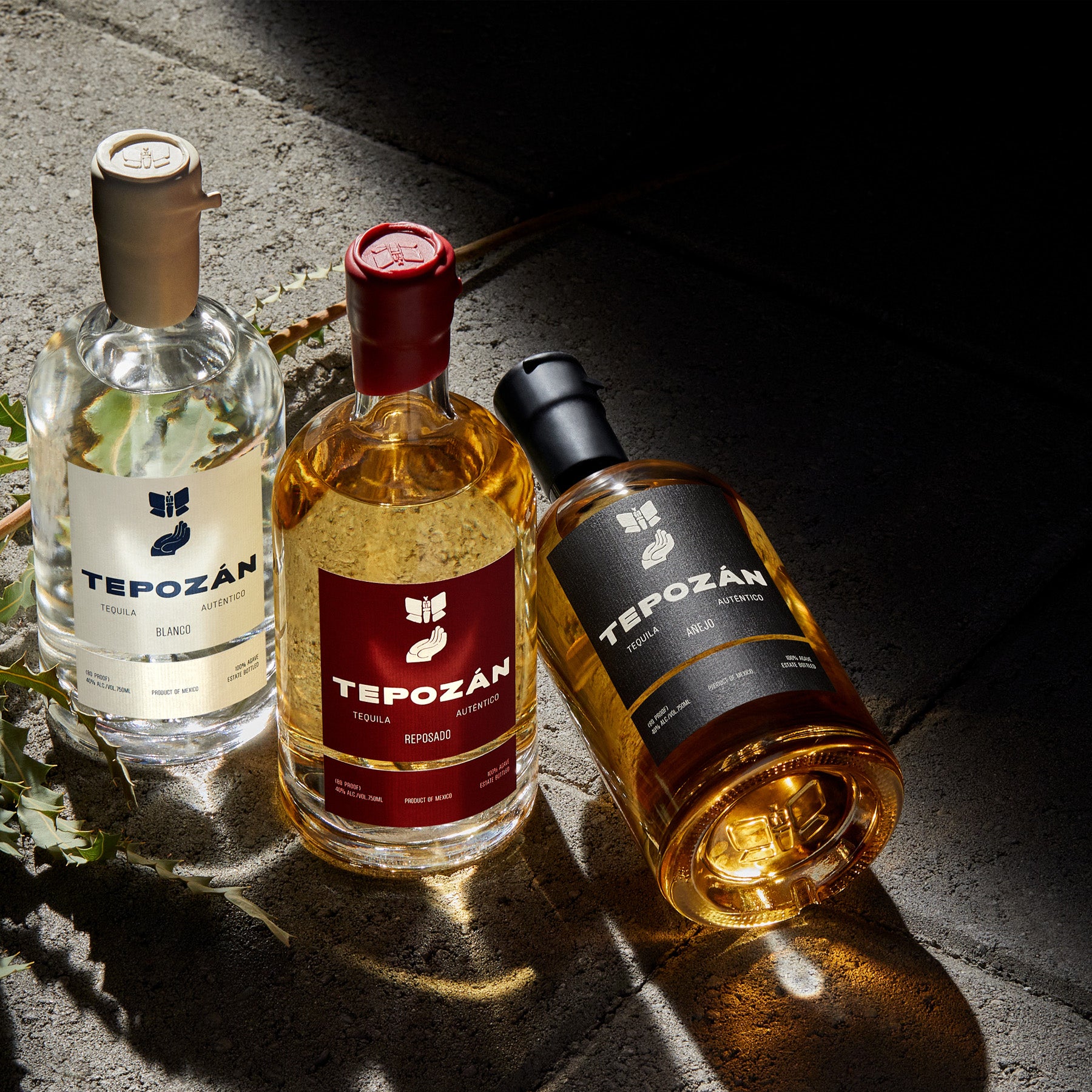 Tepozán Tequila Family Collection