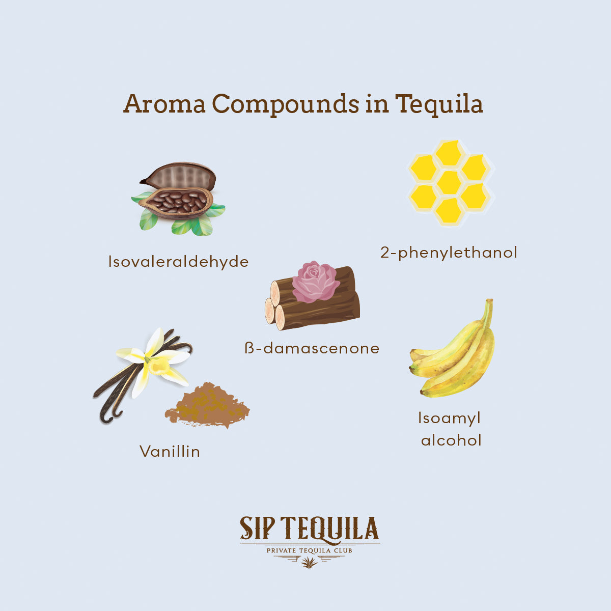 Aroma Compounds in Tequila