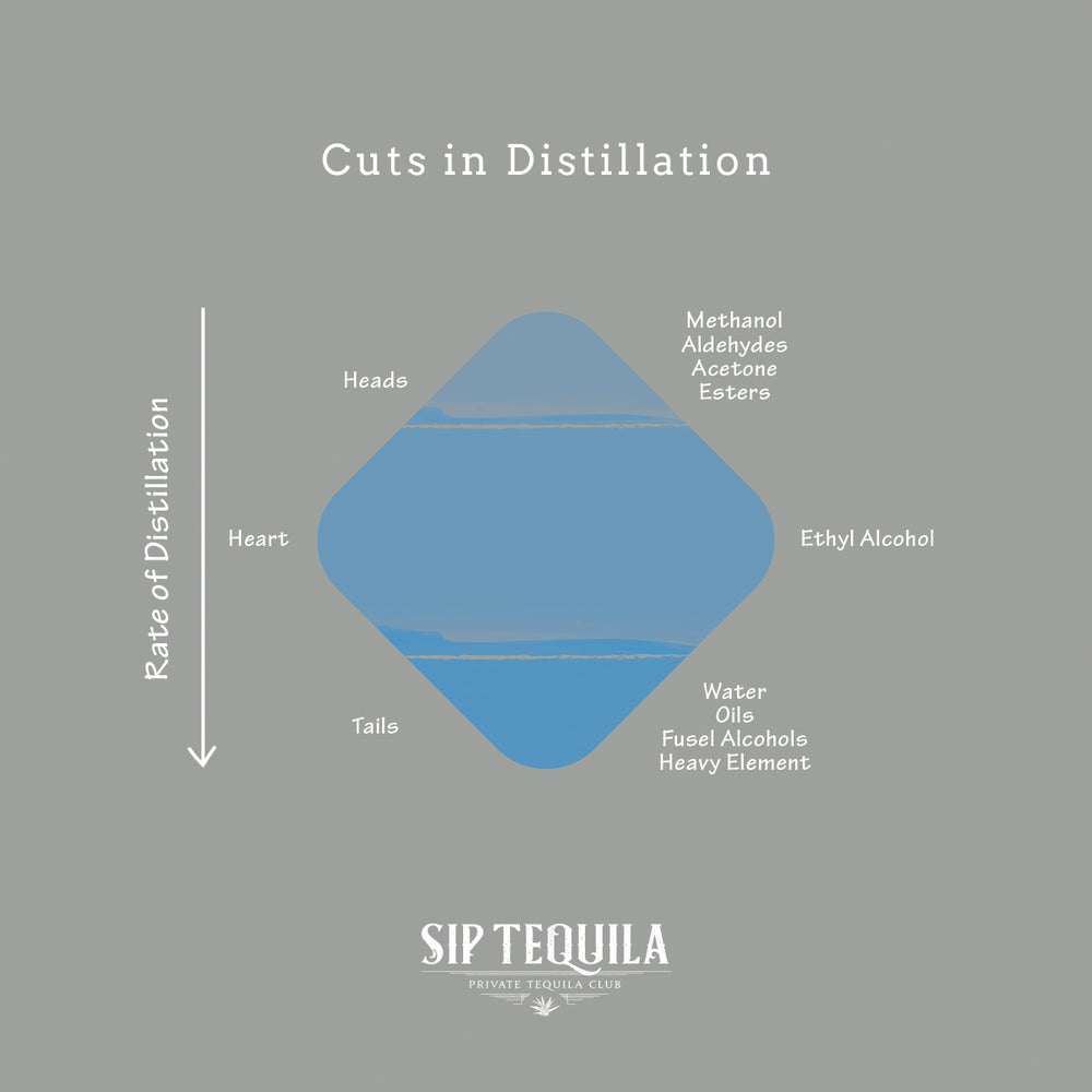 Cuts in Tequila Distillation | Sip Tequila
