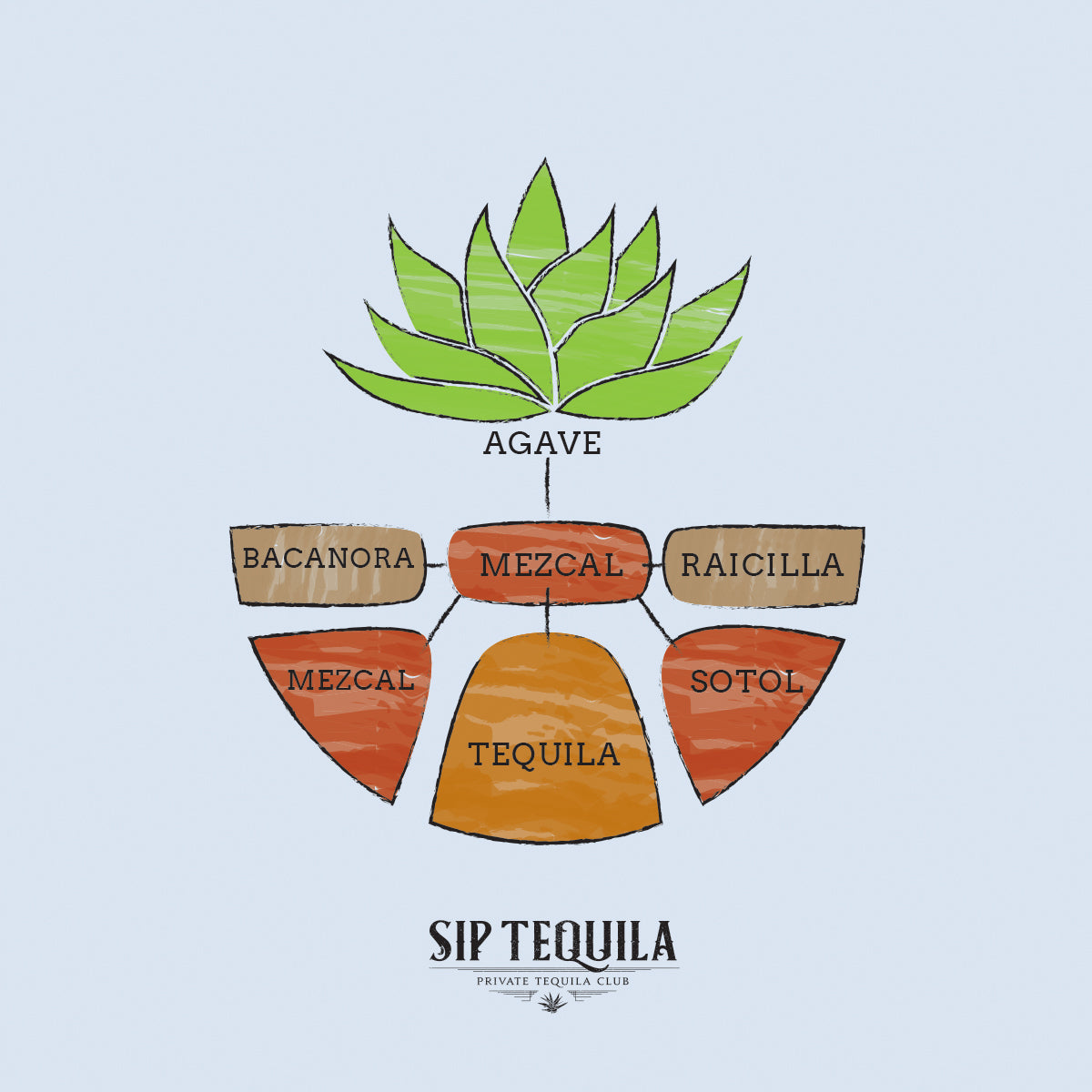 Hierarchy of Agave