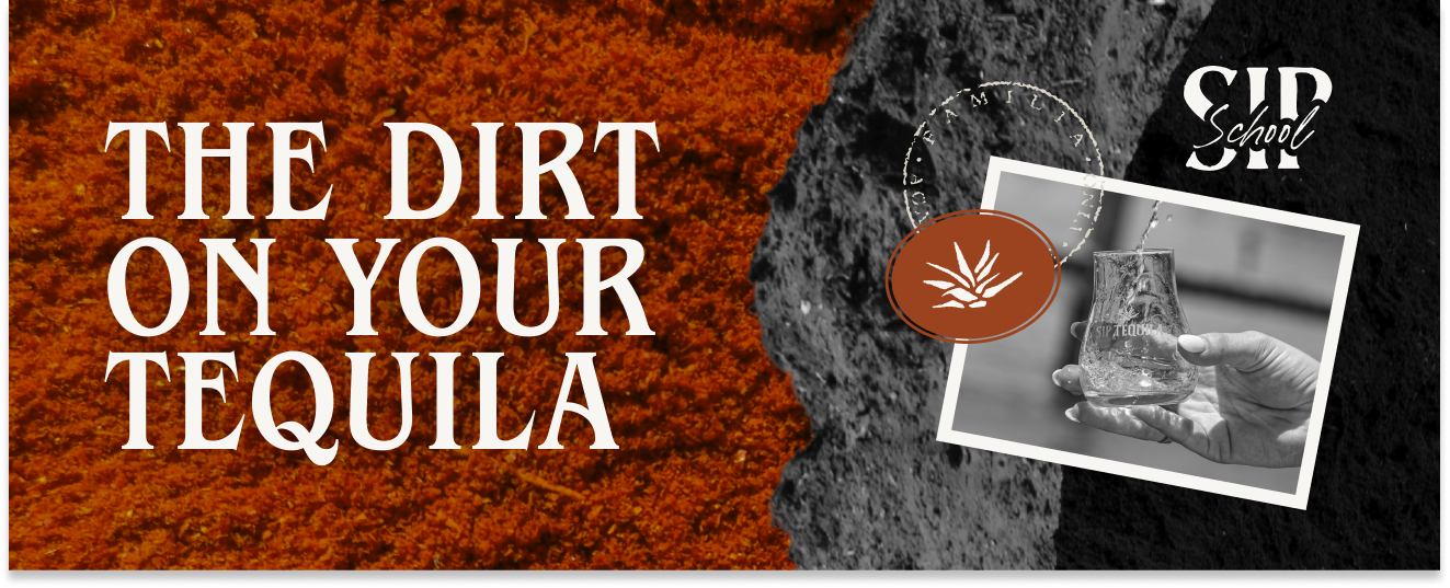 The Dirt on Your Tequila: Highland vs. Lowland, Explained