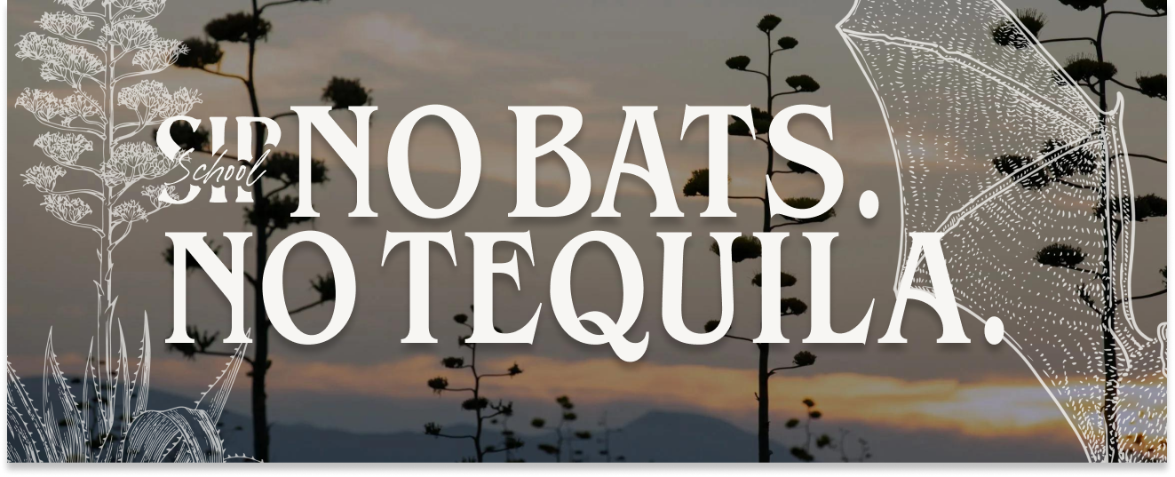Why Bats Might Be the Most Important Part of Your Tequila