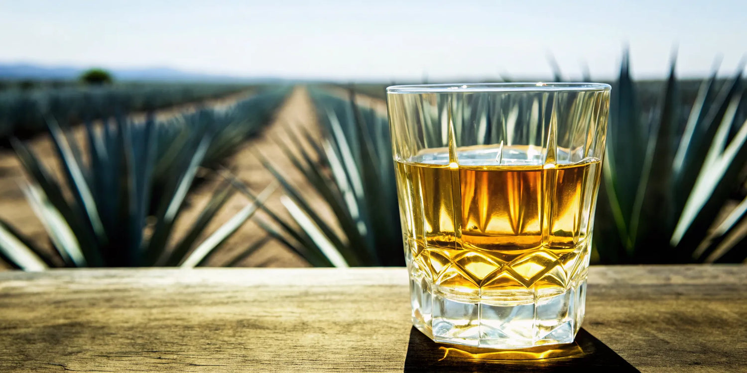 Crystal clear glass of cristalino tequila on wooden bar with agave fields background