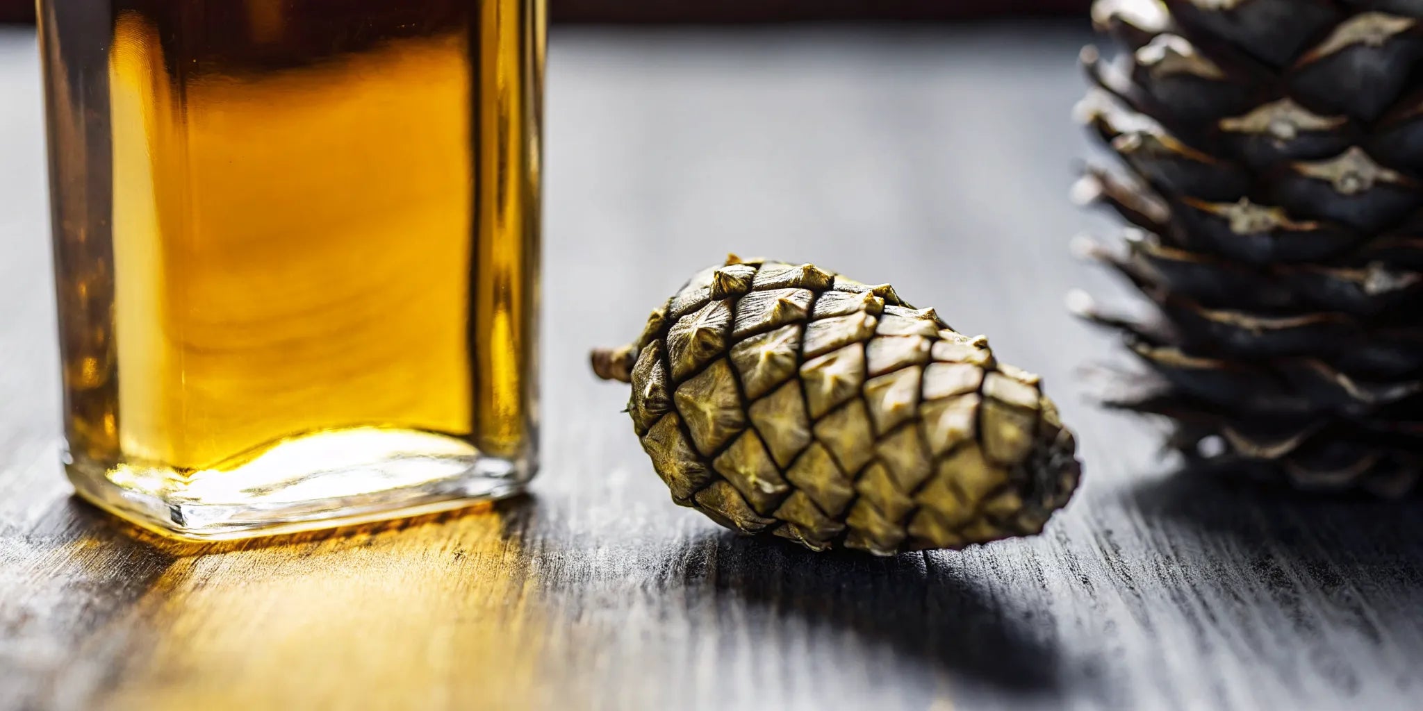 Mezcal bottle with roasted agave and an agave larva specimen
