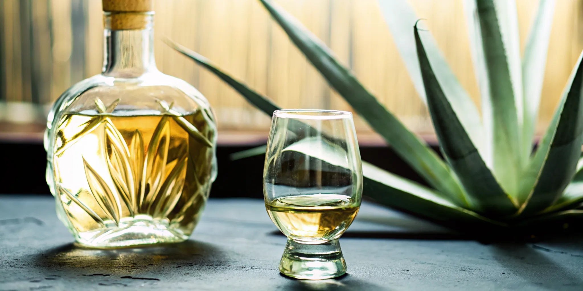 A bottle and glass of golden small batch reposado tequila with an agave plant.
