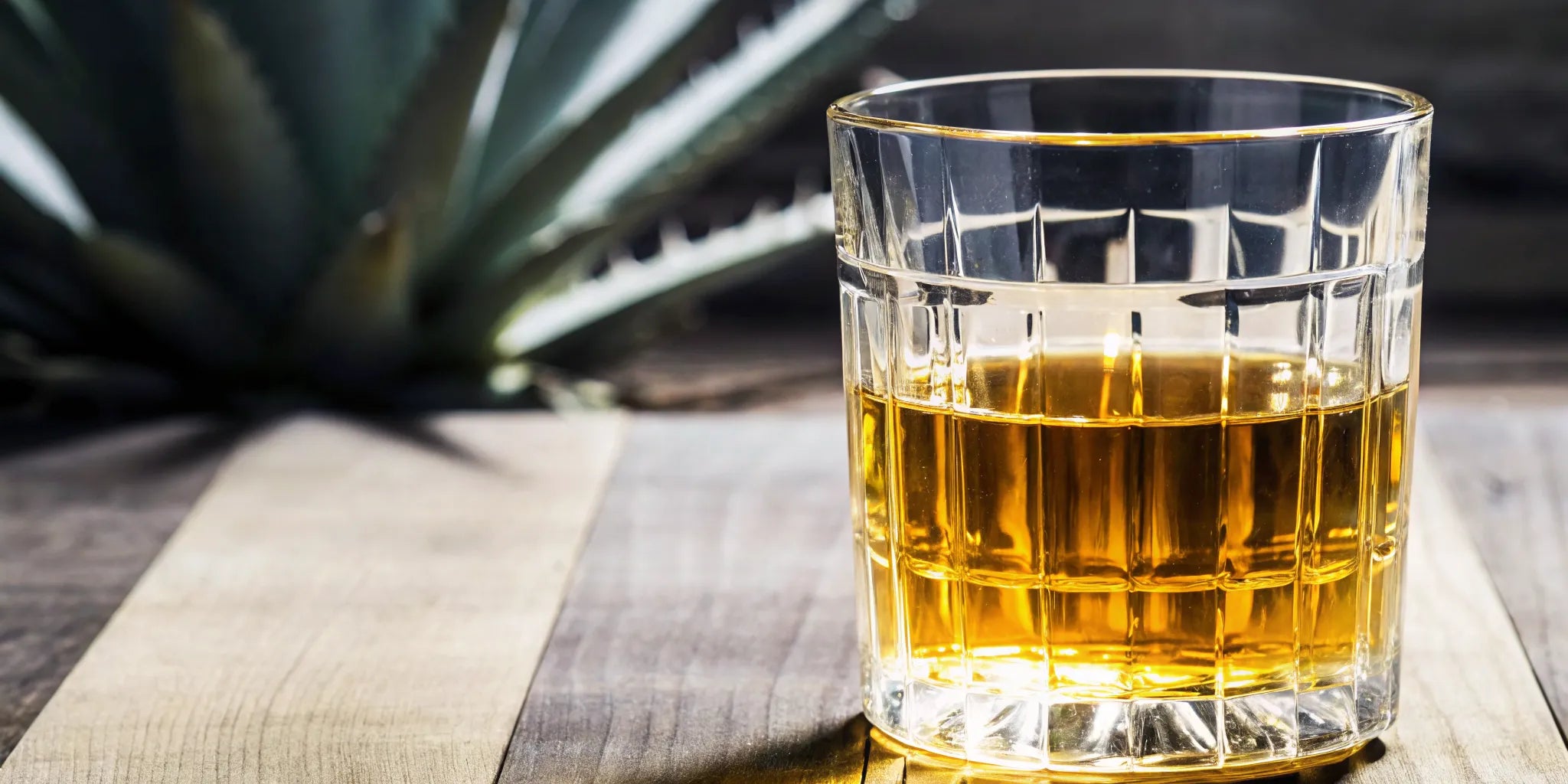 Glass of smoky mezcal on wooden table with agave plant in background