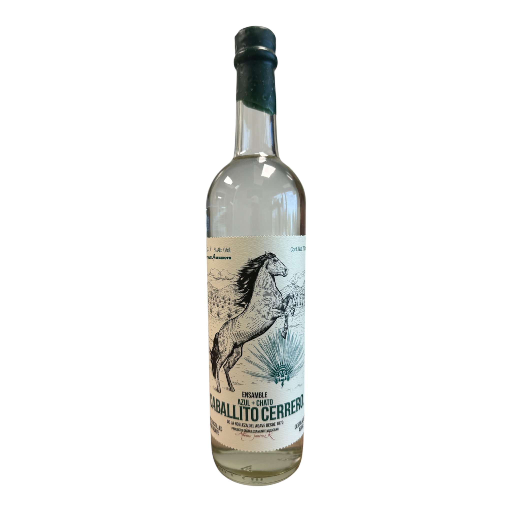 Caballito Cerrero Azul + Chato Ensamble