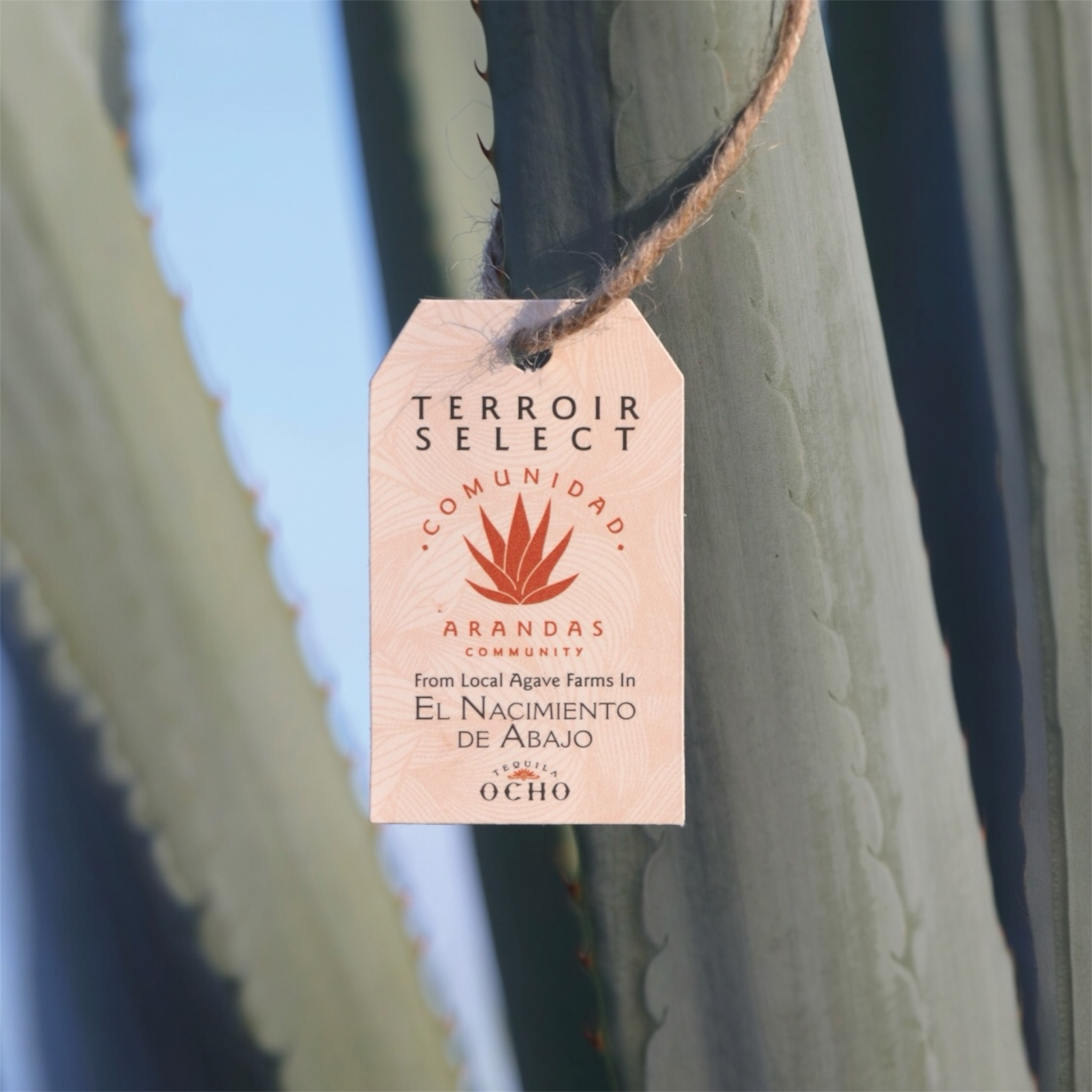 Tequila Ocho Reposado