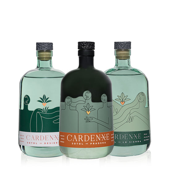 Cardenxe Sotol Family Bundle