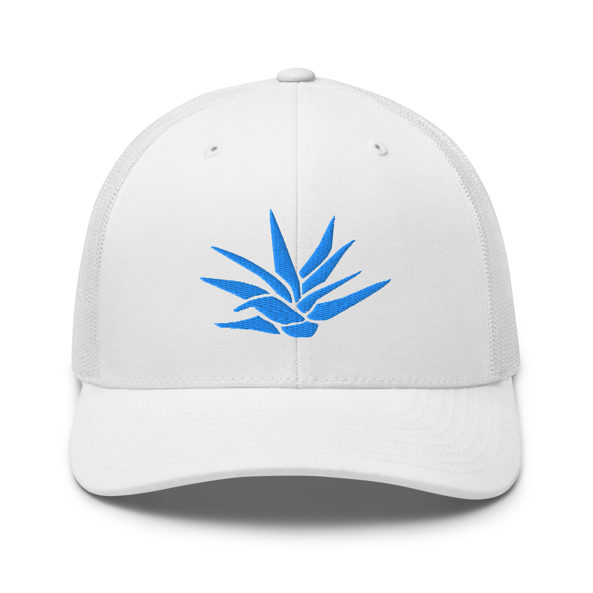 Sip Tequila Agave Snapback Hat