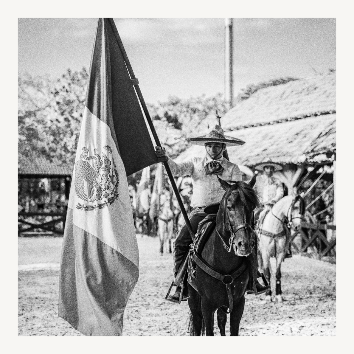 Charro on horseback with the Mexican flag