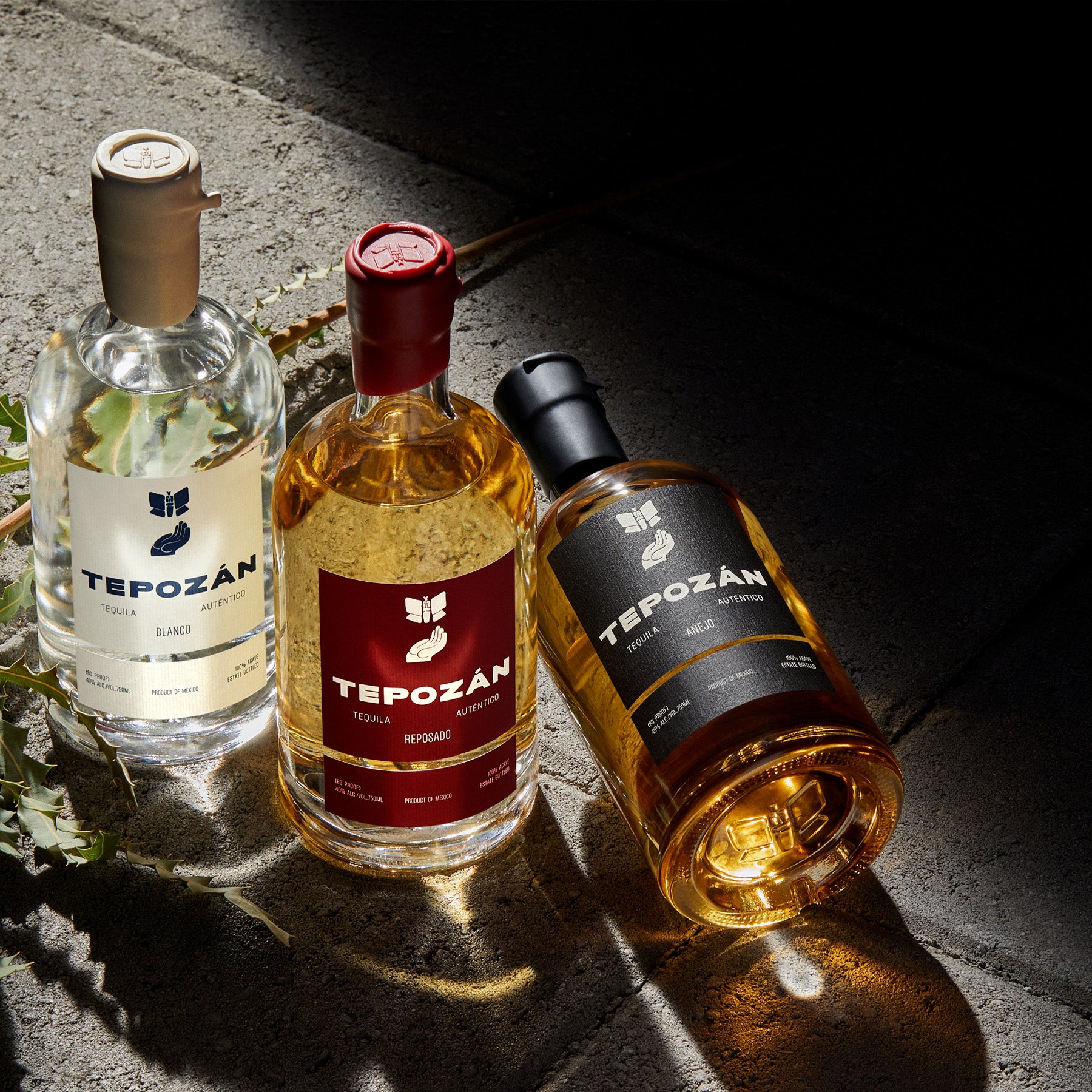 Tepozan Tequila Family Collection